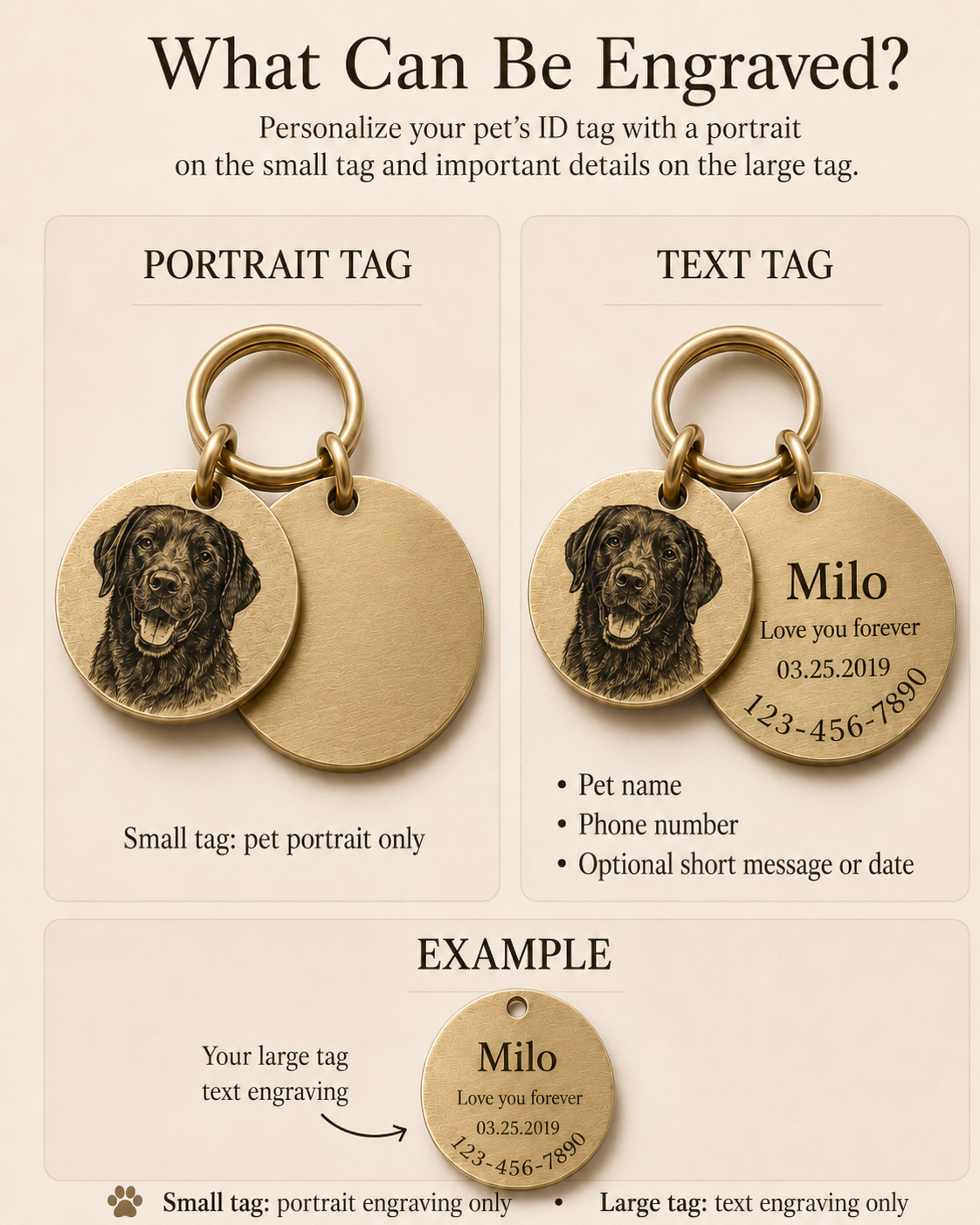 Golden Memory Double-Layer Pet Tag
